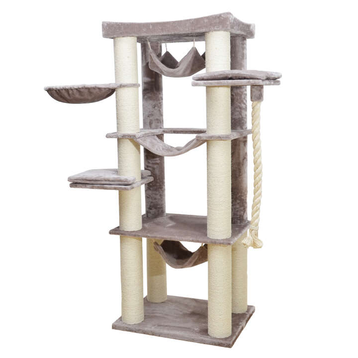 EBI Kratzbaum Cambridge